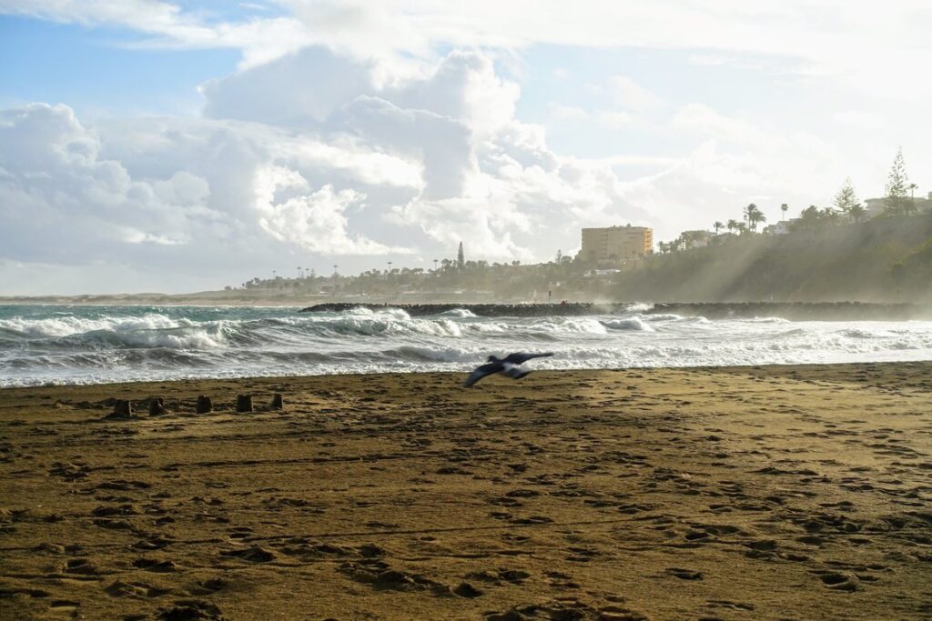 gran_canaria_travel.max-1280x768