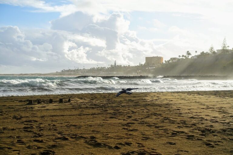 gran_canaria_travel.max-1280x768